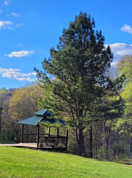 Evergreen Gunter Hollow