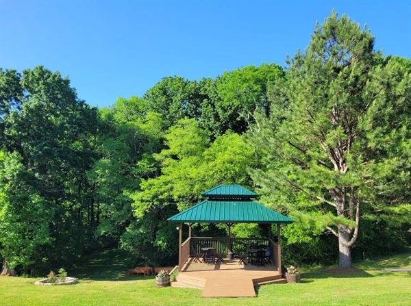 Evergreen Gunter Hollow