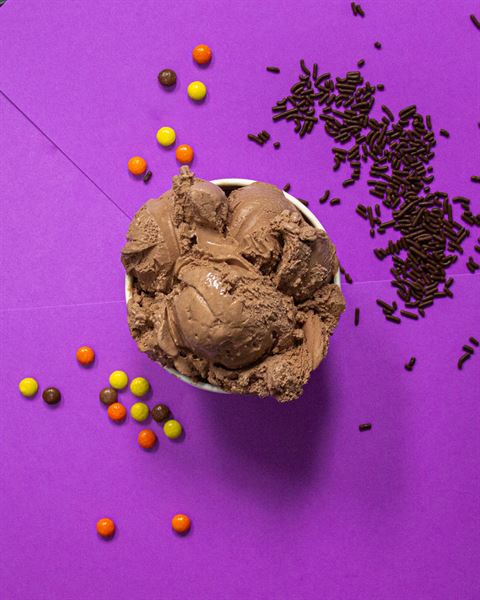 Fat Cat Homemade Ice Cream