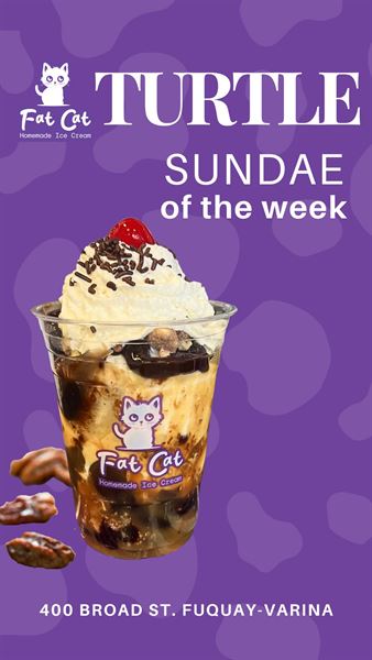 Fat Cat Homemade Ice Cream