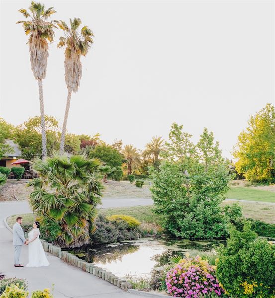 Palm Tree Weddings & Events