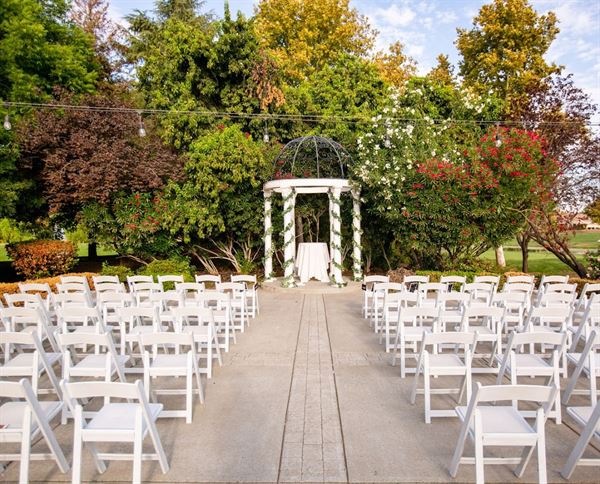 Palm Tree Weddings & Events