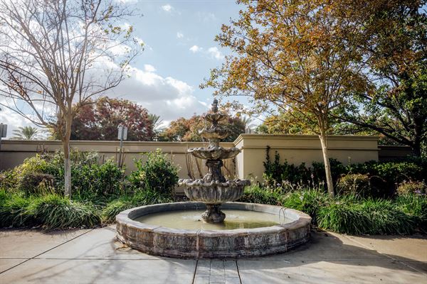 Palm Tree Weddings & Events