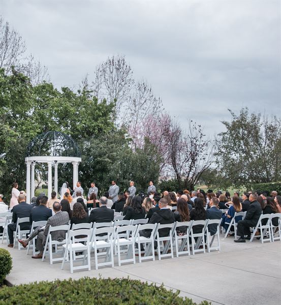 Palm Tree Weddings & Events