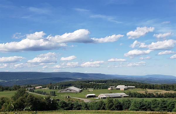 Venue at the Stables