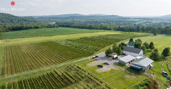 Villa Milagro Vineyards