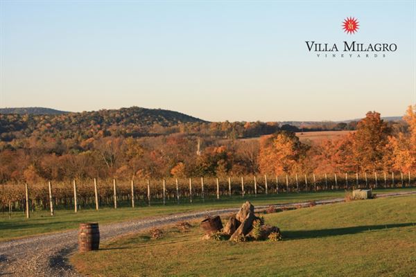 Villa Milagro Vineyards
