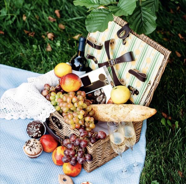 Owl Creek Farm Resort