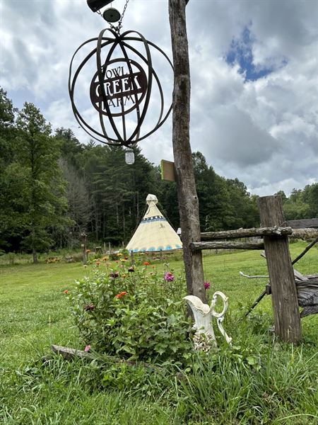 Owl Creek Farm Resort