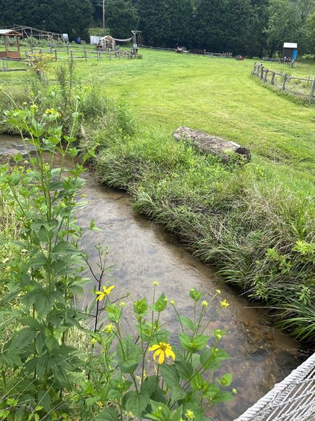 Owl Creek Farm Resort