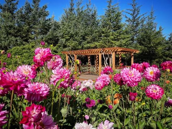 Mendocino Coast Botanical Gardens