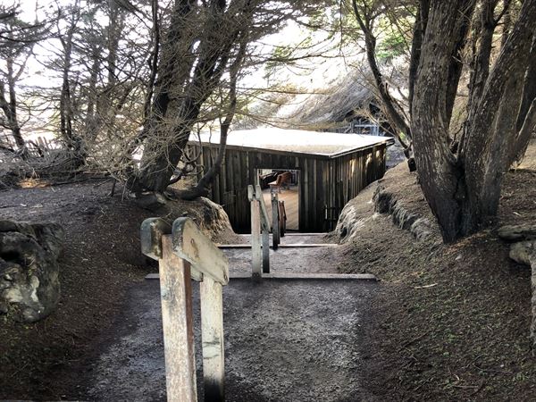 Mendocino Coast Botanical Gardens