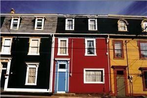 Thomasina Pidgeon Photography