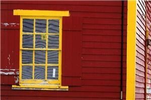 Thomasina Pidgeon Photography