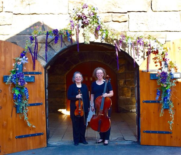 Virginia Cox, Violinist. Diva Duo Violin and Cello