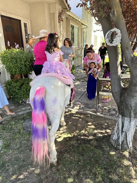 Fancy Pony Parties