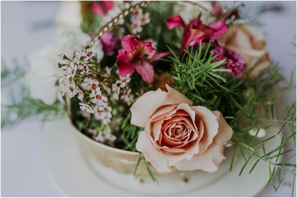 Morgan Ridge Vineyards and Brewhouse