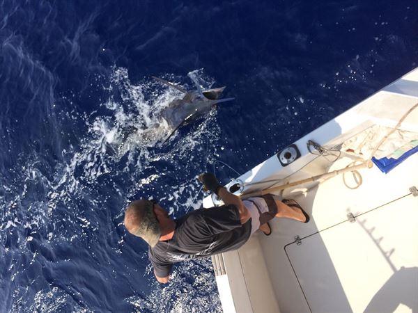Camelot Charters Boat Fishing Kona
