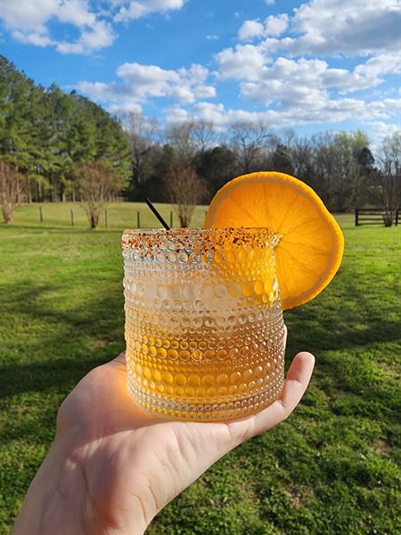 Cowgirls Cantina ~ Mobile Bar