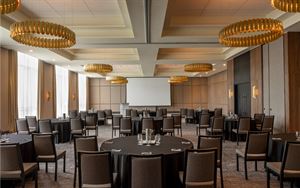 Dunlin + Brant + Ibis