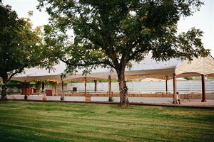 The Canopy in the Grove