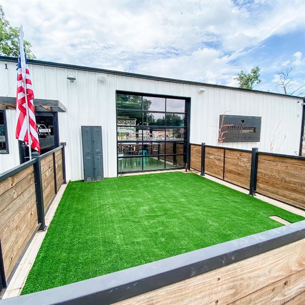 Little Wooden Penguin