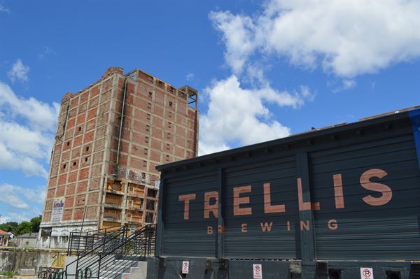 Trellis Brewing