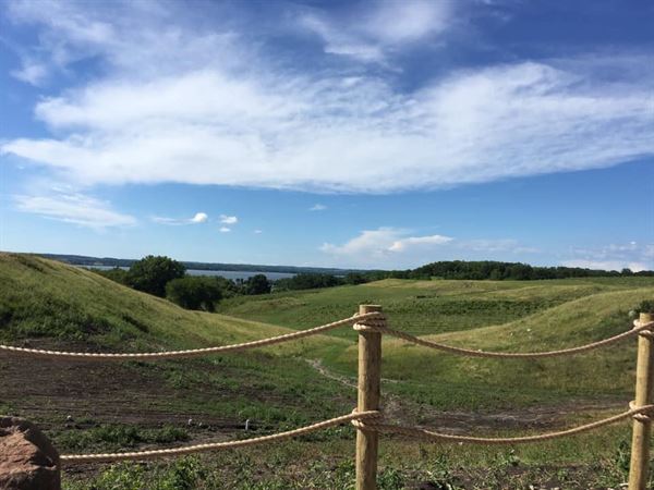 Rolling Forks Vineyards