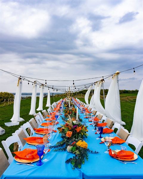 Rolling Forks Vineyards