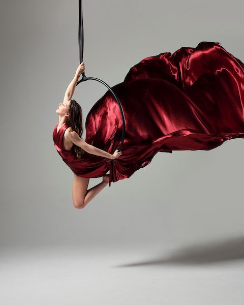 Malin Aerial Dance LLC