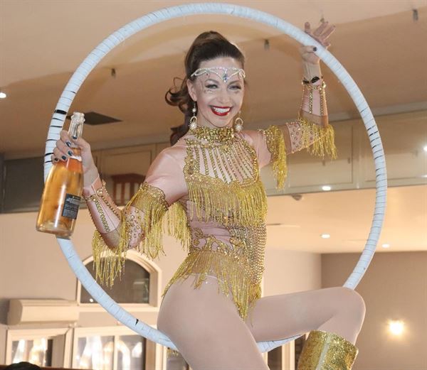 Malin Aerial Dance LLC