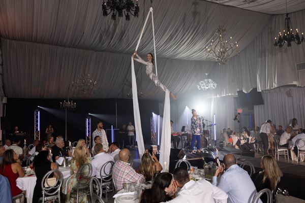 Malin Aerial Dance LLC