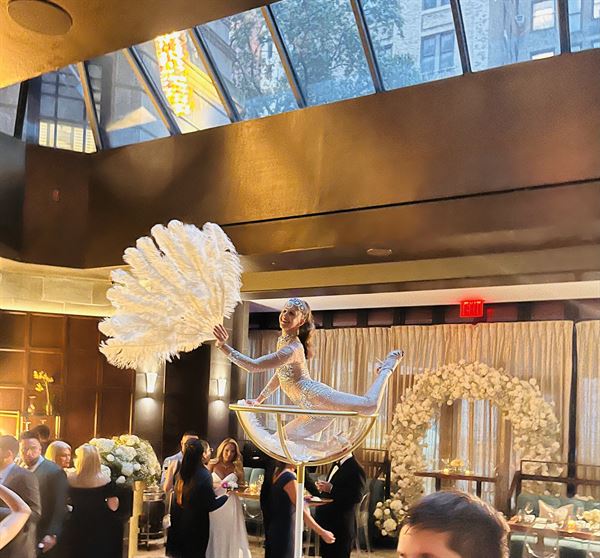 Malin Aerial Dance LLC