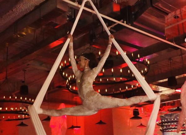 Malin Aerial Dance LLC