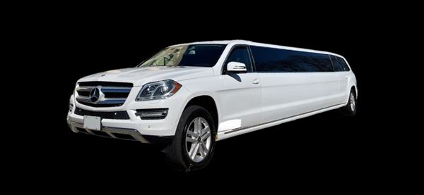 Twilight Party Bus And Limousine Network