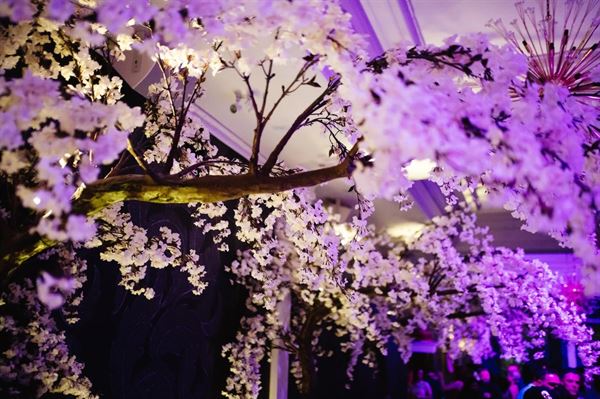 Chambers Steakhouse & Supper Club