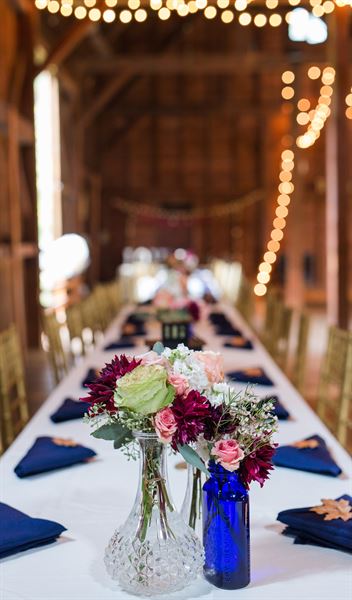 The Phelps-Hatheway House & Garden