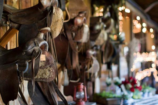 Stepping Stone Ranch