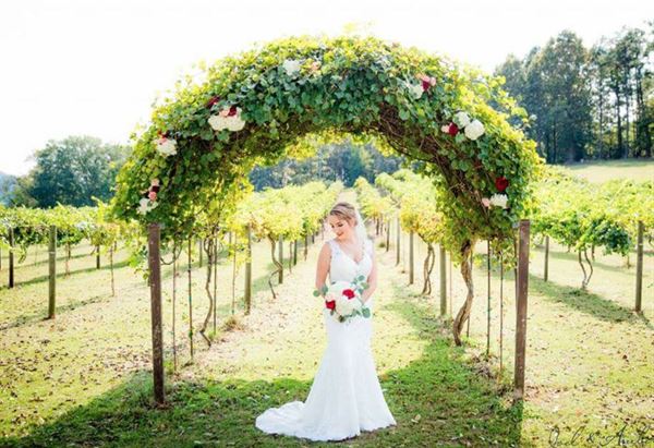 Wills Creek Vineyards Venue