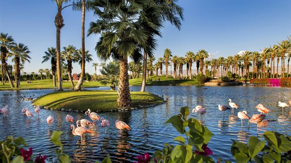 JW Marriott Desert Springs Resort & Spa