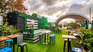 Pink Paloma Courtyard