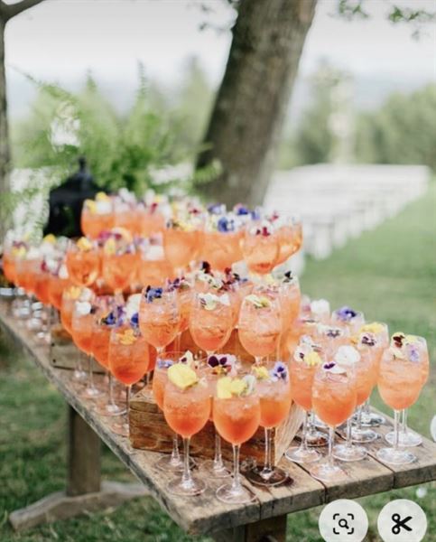 FRESH FROM THE KITCHEN