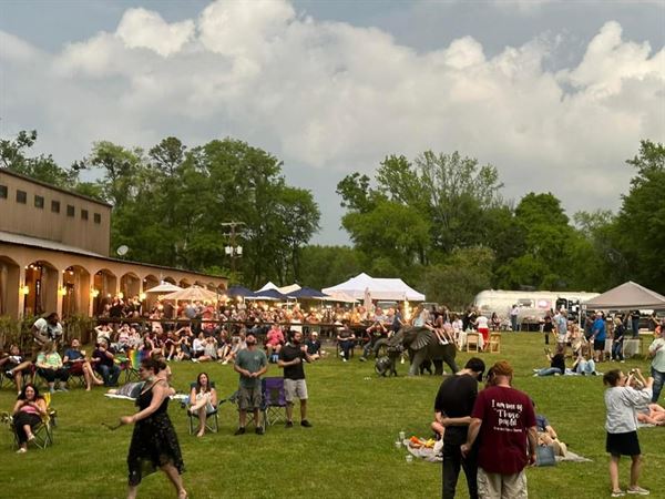 Pink Flamingo Sound Company