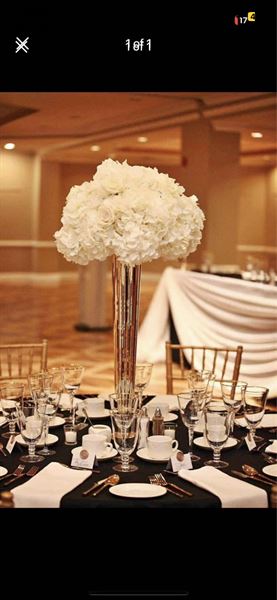 Bel-Air Party Rentals and Decor