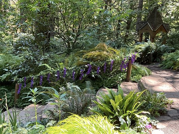 Dancing Deer Mountain