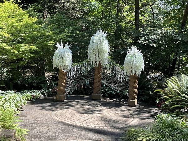 Dancing Deer Mountain