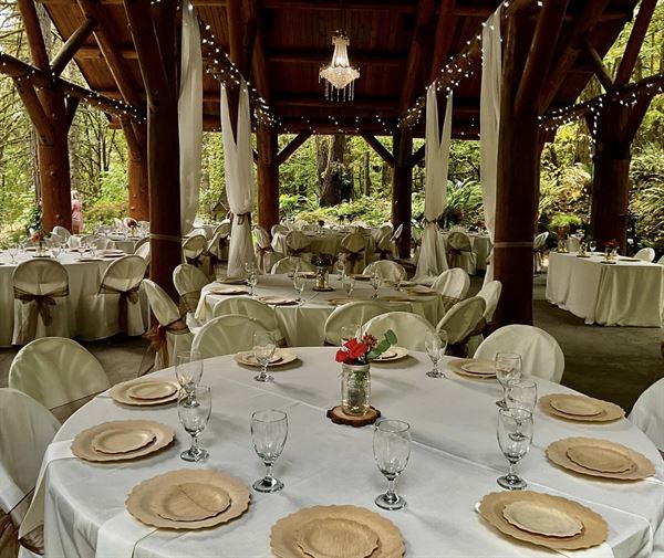 Dancing Deer Mountain