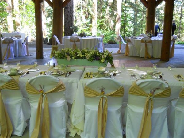 Dancing Deer Mountain