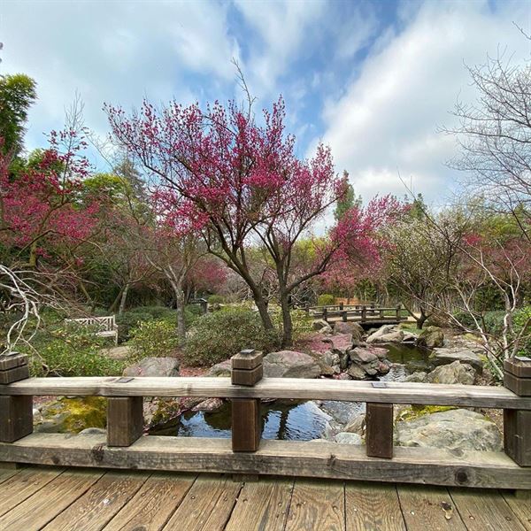 Shinzen Friendship Garden, Inc.