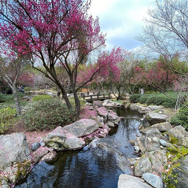 Shinzen Friendship Garden, Inc.